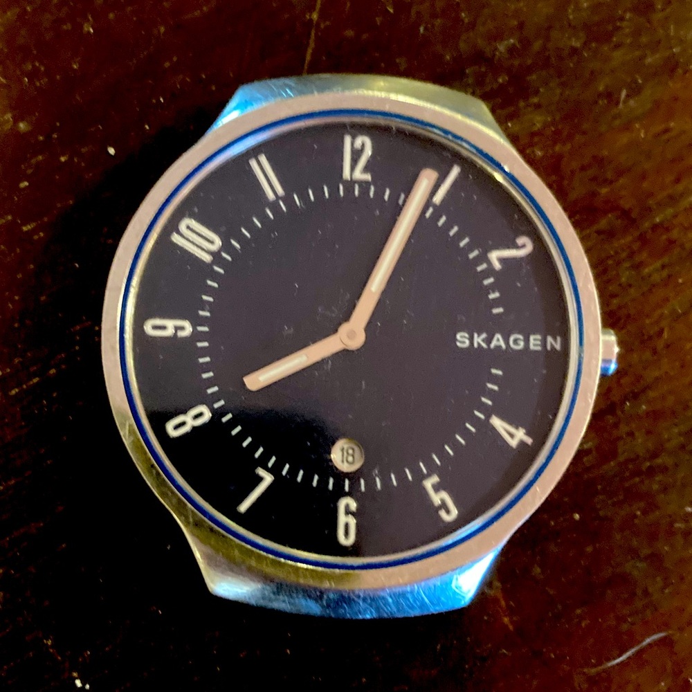 Skagen Grenen men’s watch